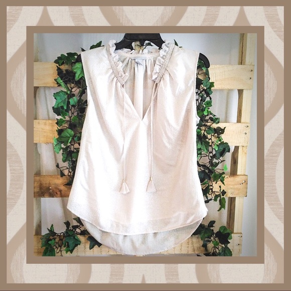 H&M Tops - H&M Ruffle Collar Chiffon Blouse